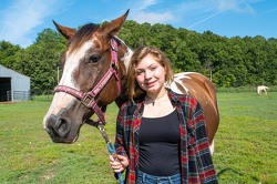 Time with horses brings healing