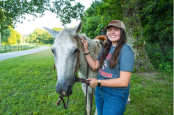 Time with horses brings healing
