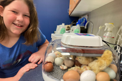 School Activities that Boost creativity